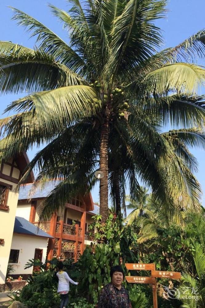 Hainan Bulongsai Resort Hotel Baoting Exteriér fotografie